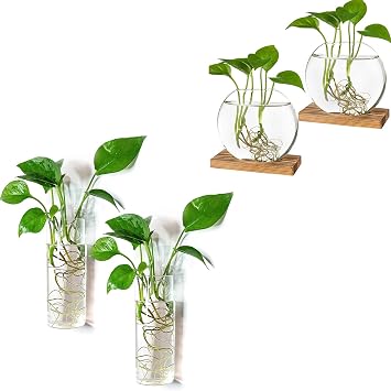 Kingbuy Wall Hanging Cylinder Glass Planter and Desktop Oblate Hydroponic Vase with Wooden Stand for Water Plants Home Office Decoration