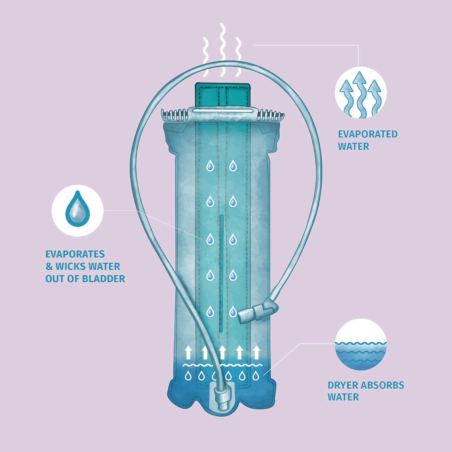 Hydration Bladder Dryer U'Be (2 pcs) - Created in the U.S.A. - Use with or w/out Hydration Pack Bladder Cleaning Kit & Cleaning Tablets - Camelback Cleaner - Camping & Hiking Kit