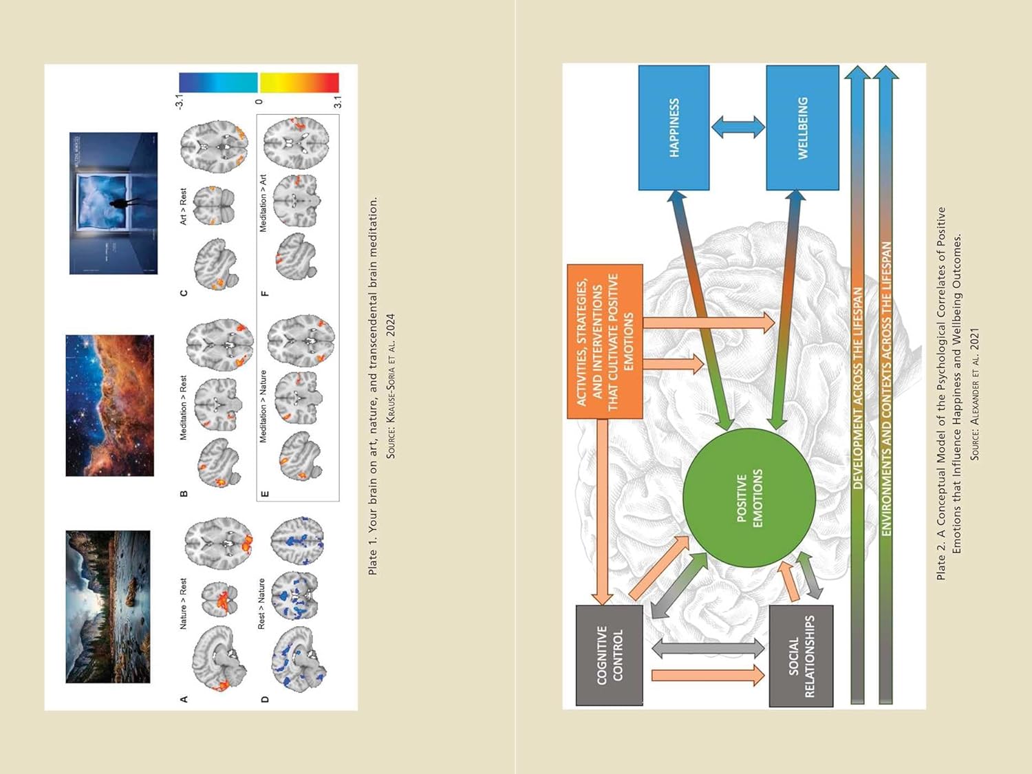 Living from the Soul: The Neuroscience of Spiritual Awakening      Paperback – July 7, 2026