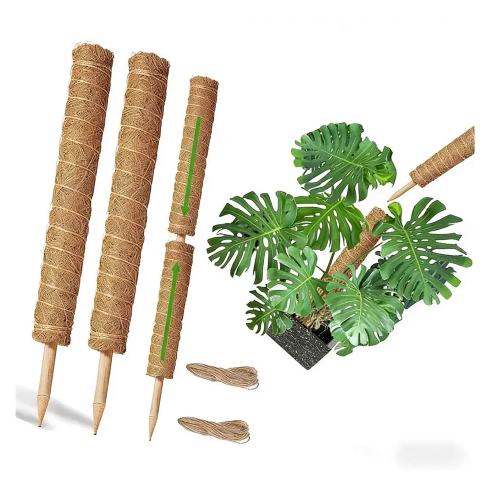 Tuteur Plante Support d'escalade de Lierre de Radis vert2-4, Mousse de Coquille de Noix de Coco emballée, Plante d'intérieur, Support Fixe, Trel empilable(4pcs)