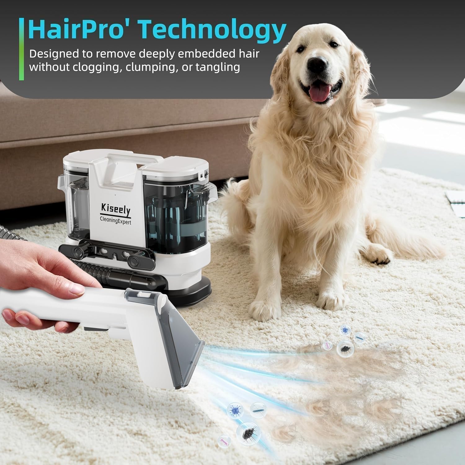 Aspiradora Agua Tapiceria Limpiador, con calentamiento instantáneo, 600W potente succión y limpieza profunda para alfombras, sofás, coches y mascotas (WB1)