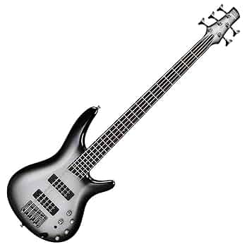 Amazon.com: Ibanez Standard SR305E 5-string Bass Guitar