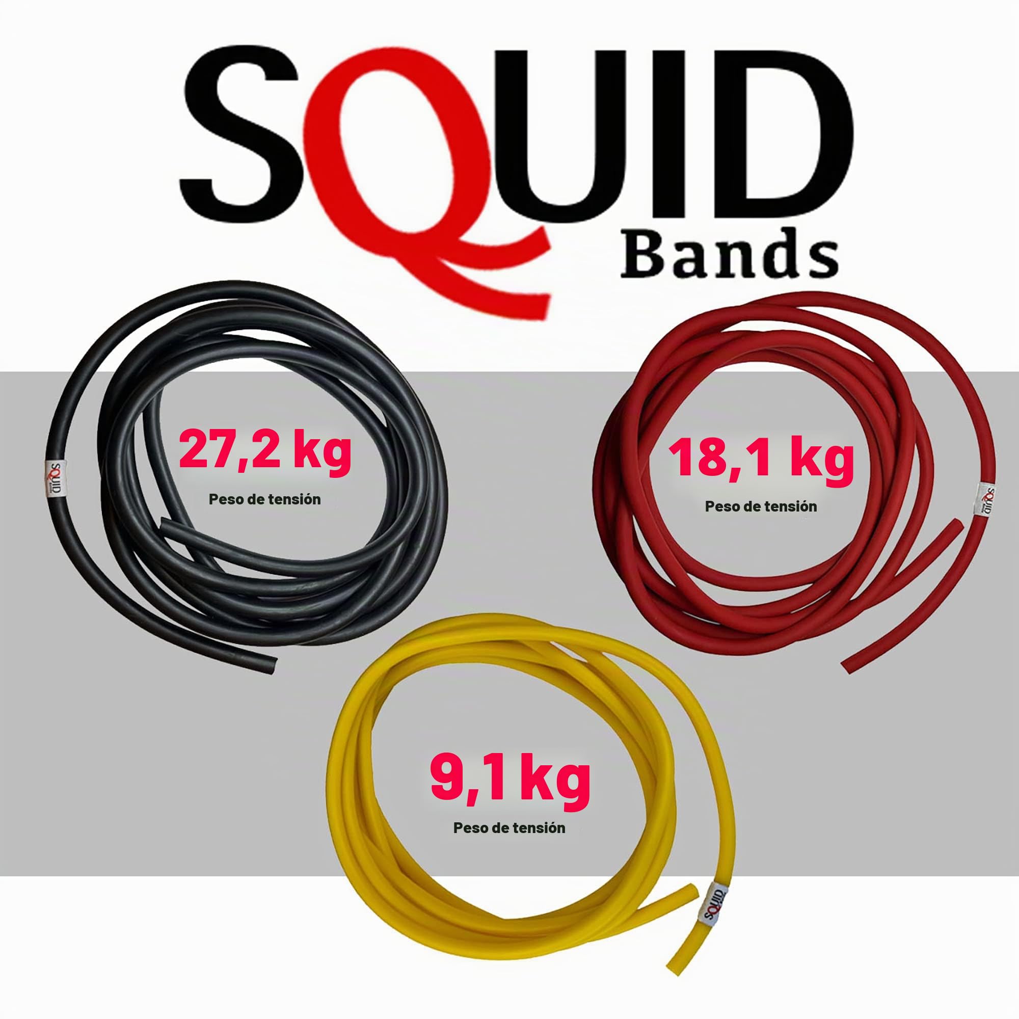 Bandas calamares