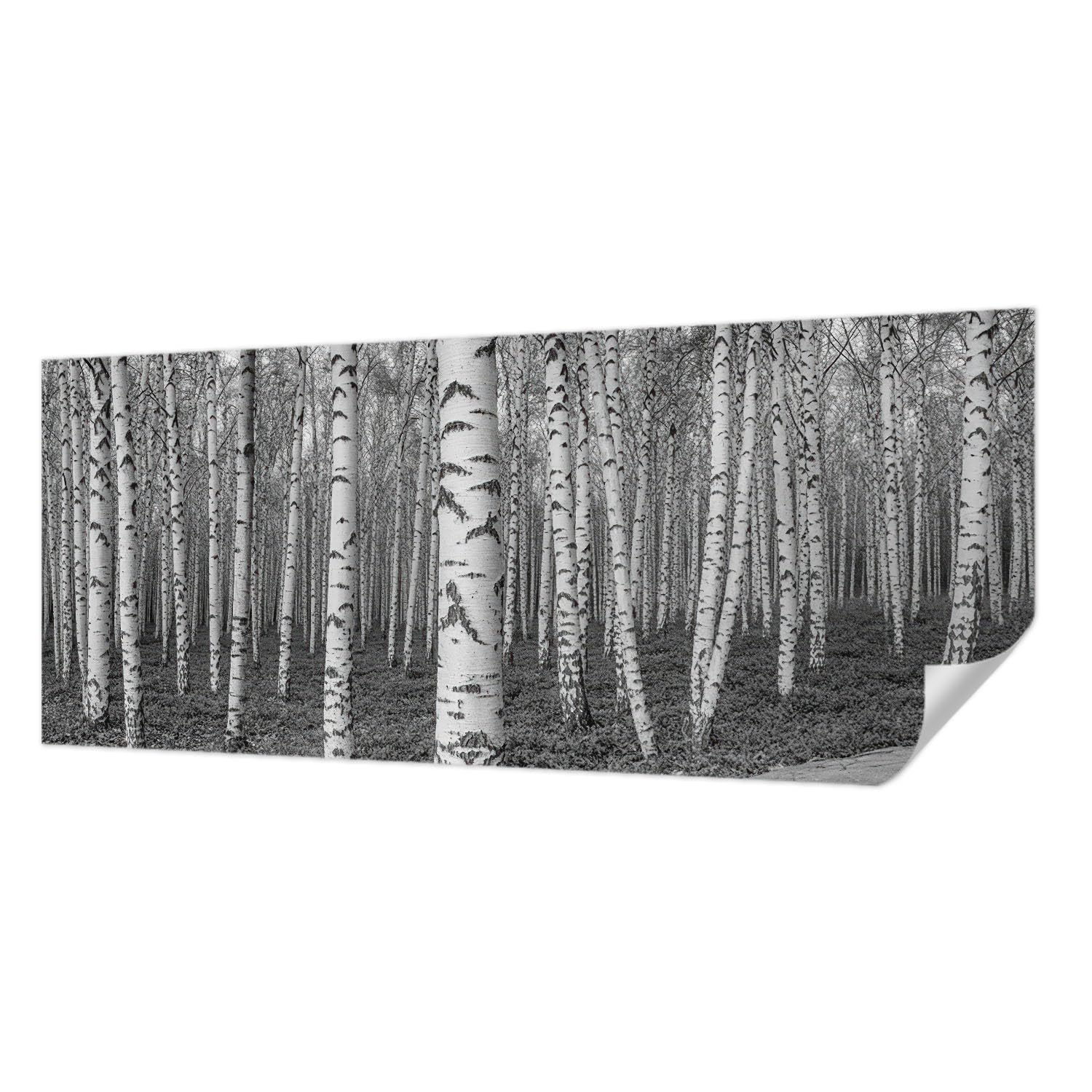 Pose murale facile sans colle avec ce papier peint forêt 250x104