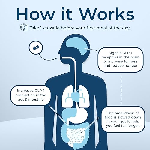 Miniatura 6 de Dr. Stephanie's GLP-Wonder Natural GLP-1 Suplemento potenciador - Controla el hambre y el apetito, combate los antojos - Soporte sin efectos