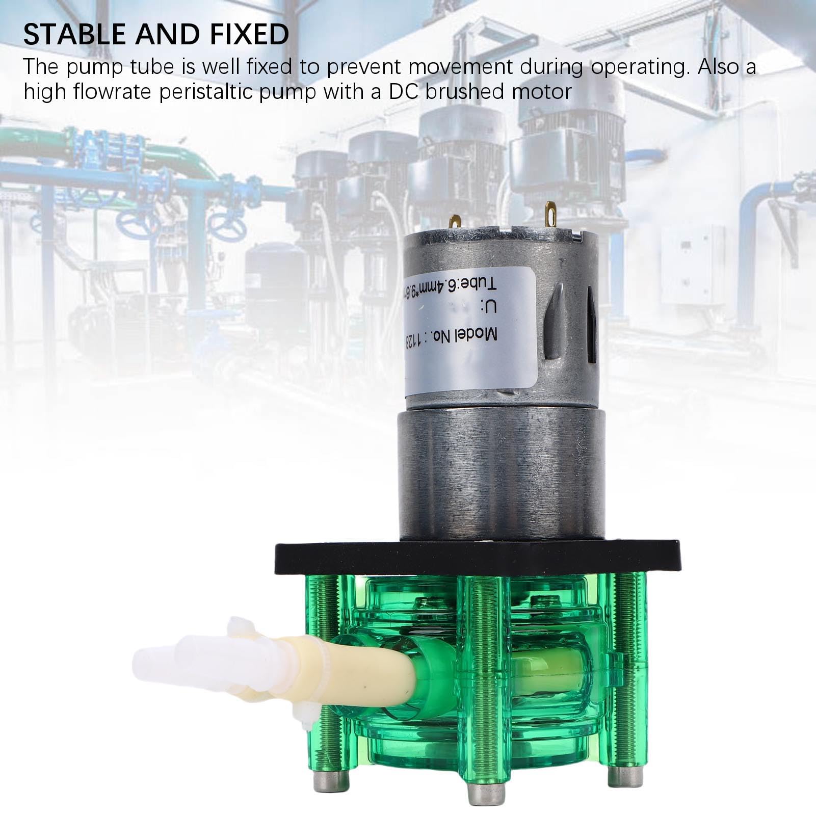 Tangxi Bomba Peristáltica Dosificadora de Líquidos de Alto Caudal de 500 Ml/min para Acuarios, Laboratorios y Uso Industrial, Acero Inoxidable Duradero (24V)