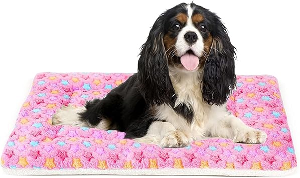 Mora Pets Dog Bed Crate Pad Ultra Soft Pet Bed with Cute Star Print Washable Crate Mat for Large Medium Small Dogs Reversible
