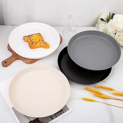 Miniatura 3 de ejonirinjonir EI - Juego de 16 platos llanos de paja de trigo, platos de plástico irrompibles, platos de plástico ligeros, platos de fiesta para