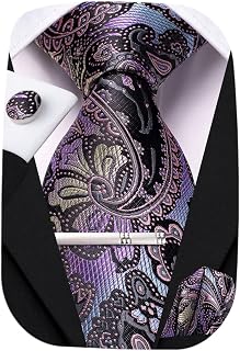 Silk Mens Tie Set with Pocket Square Cufflinks Silver Tie Clip Set Necktie for Prom Wedding Formal