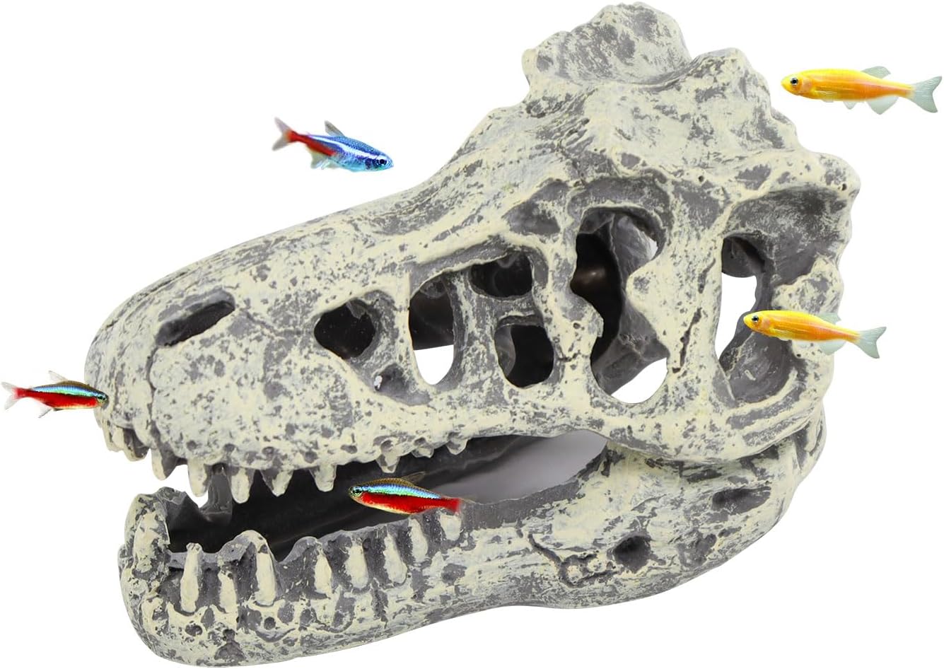 WishLotus Skull Aquarium Hides Decor, Resin Dinosaur Fish Hideout for Little Shrimp Betta Goldfish and Reptiles (Dinosaur Head)
