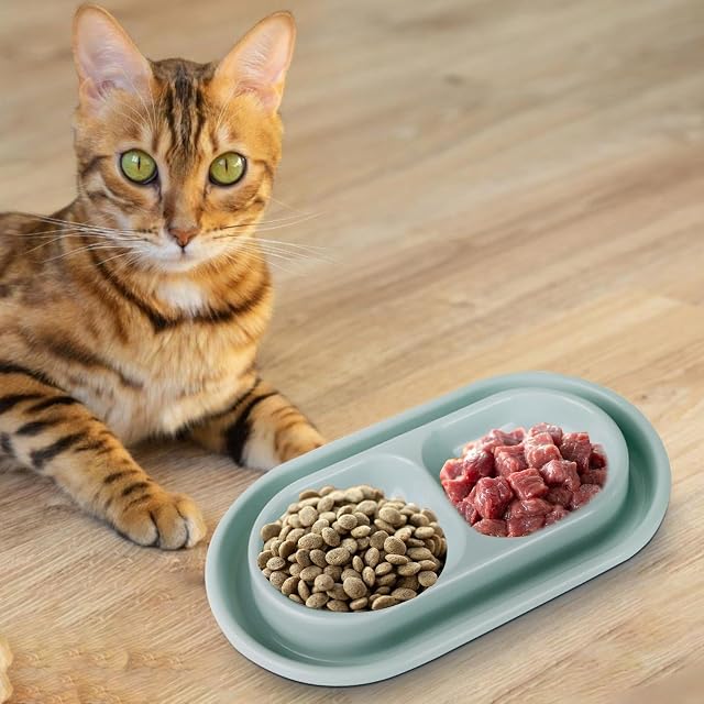 Foto 5 de 8 de Cuenco doble para mascotas, comedero doble para gatos - Juego de cuencos de agua y comida para perros pequeños