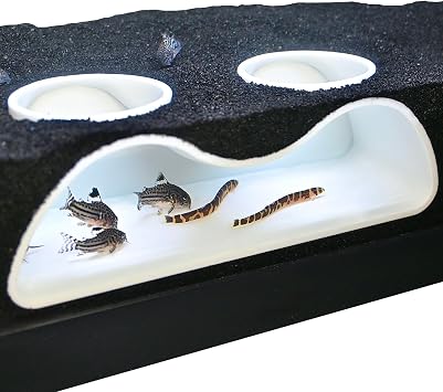 Aquarium Underground Tunnel Cave Natural Curve Two Hole | Viewing Fish & Shrimp Under Gravel Tunnel | Fish Tank Decor Decoration Hideout Perfect for Corydora Catfish, Kuhli Loach, Pleco White