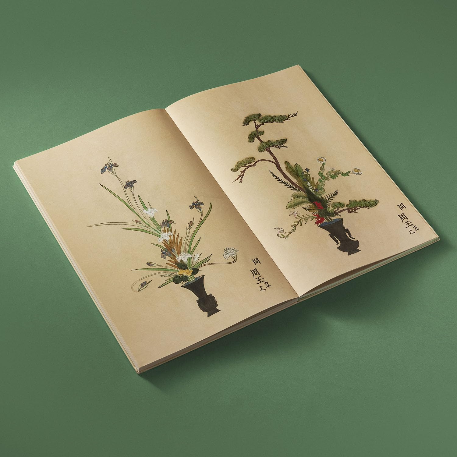 Ikebana /anglais: The Art and Beauty of Flower Arranging