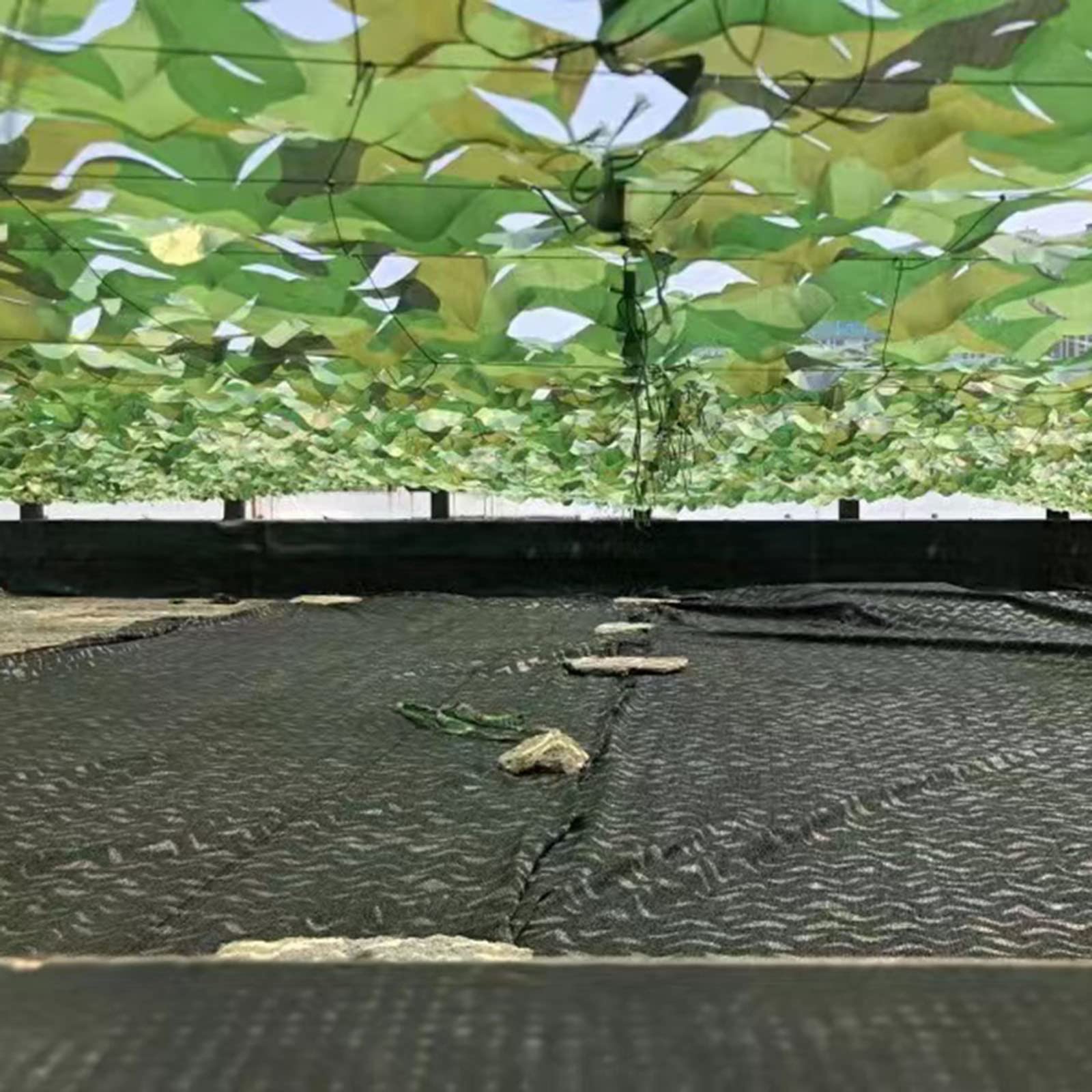 Red de camuflaje para exteriores, 5 x 10 m, red para sombra, selva y observación de aves, ideal para caza, camping y decoración de jardín