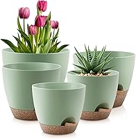 QRRICA Self-Watering Plant Pots Set of 5 (10/9/8/7.5/7 Inch) Green Plastic Planters with Drainage Holes & Saucers for Indoor Outdoor Plants