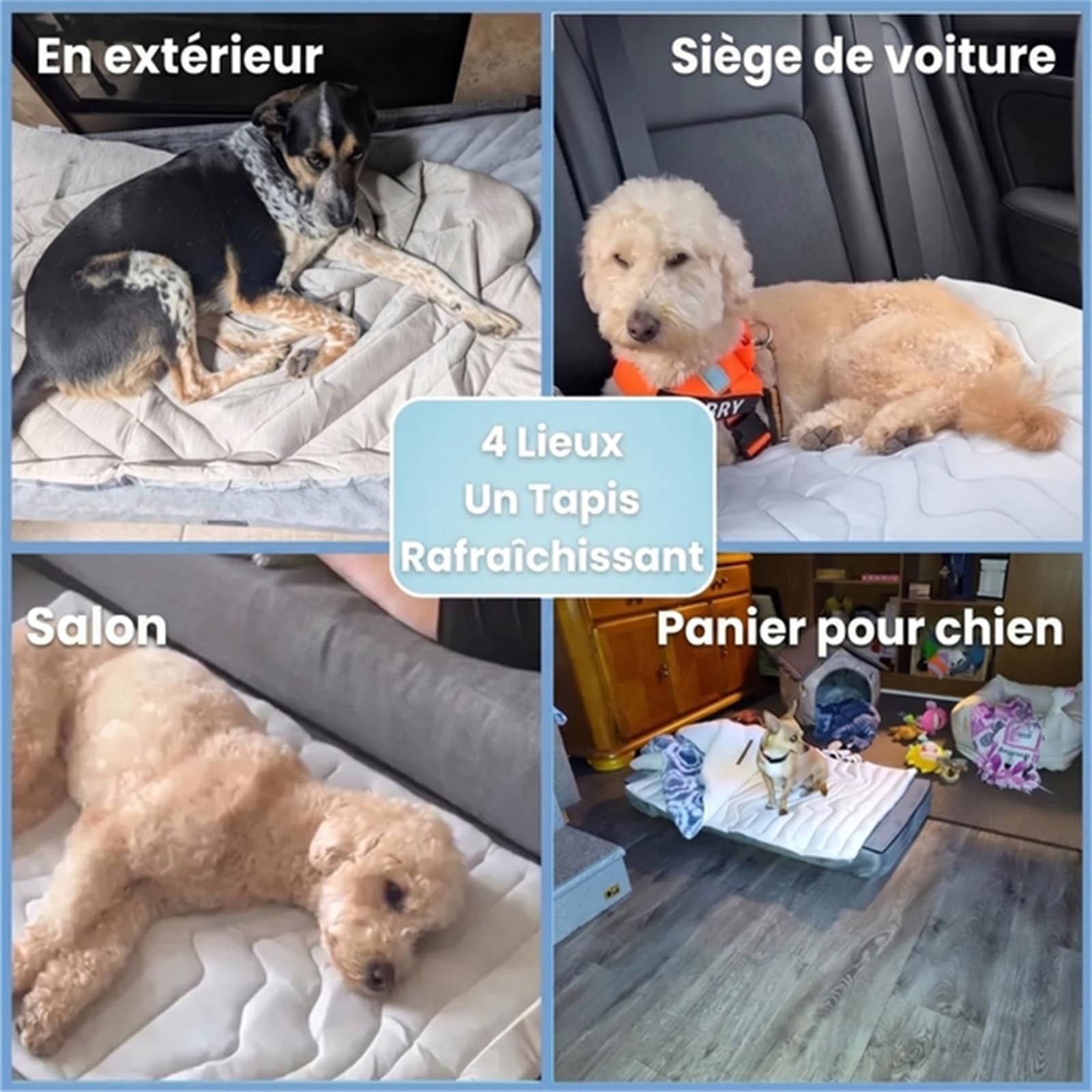 Pawfroste Tapis Fraîcheur Lavable Respirant pour Chien