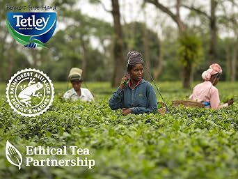 Tetley Raspberry & Pomegranate Tea, 6 x 25 Individually Wrapped Tea Bags