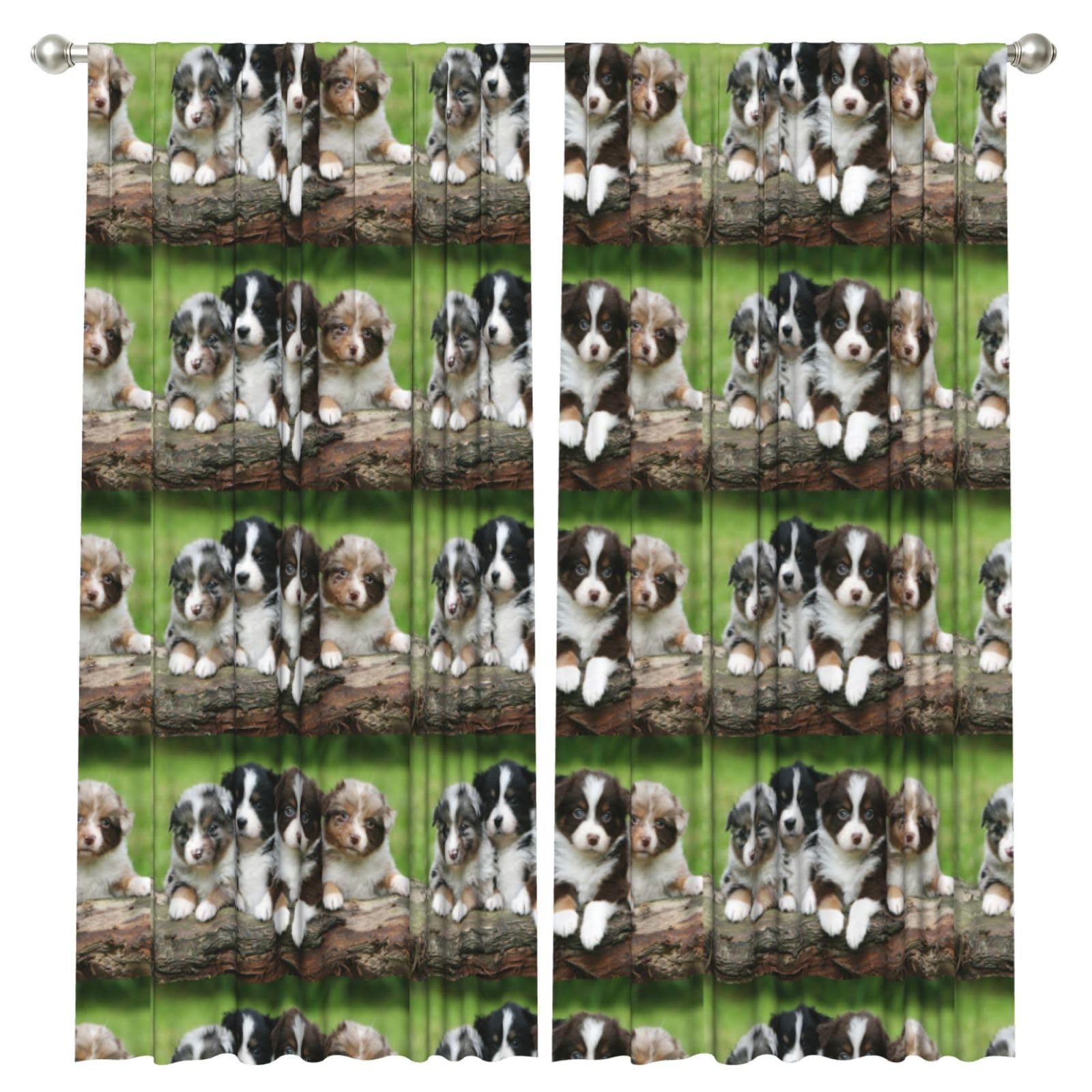 InOmak Australian Shepherd Small Puppies, 2 Panels Window Curtains 52 x 84 Inch Blackout Curtains for Living Room Bedroom