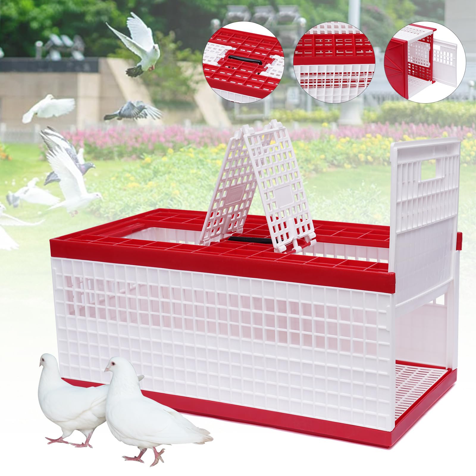 Caja Plegable de plástico para Transporte de Palomas con Capacidad para 14 Palomas, Jaula de Transporte de Carreras con asa y Puertas Laterales para Entrenamiento, liberación y competición