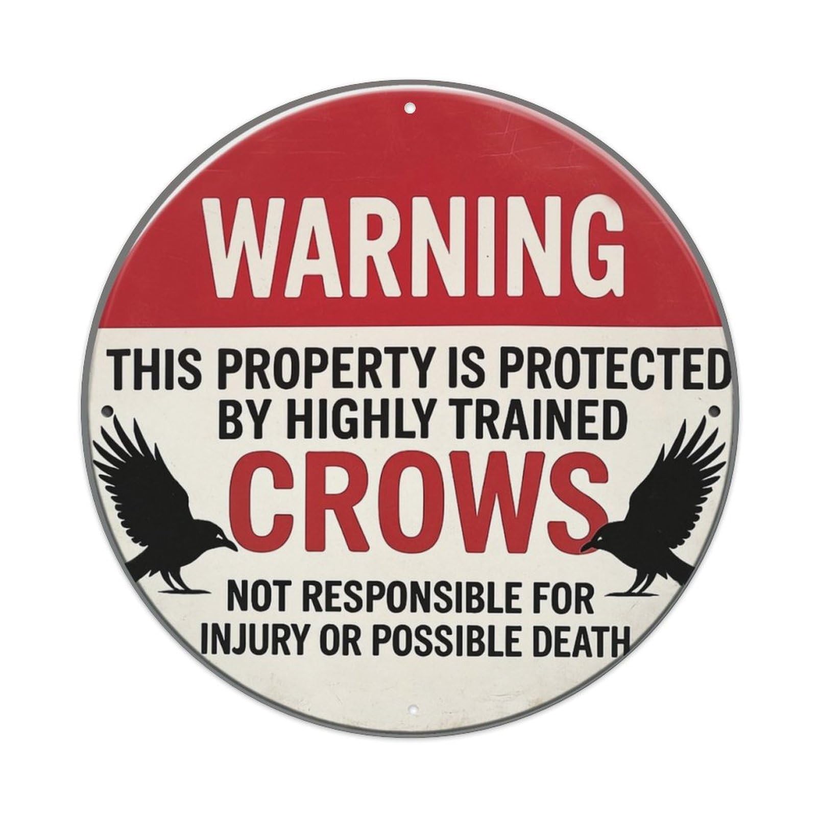 Jdyansheng Vintage Warning Property Protected By Crows Tin Sign Metal Poster Metal Signs For Home Man Cave Bar Cafe Kitchen Laundry Room Wall Decorations 8X8 Inches