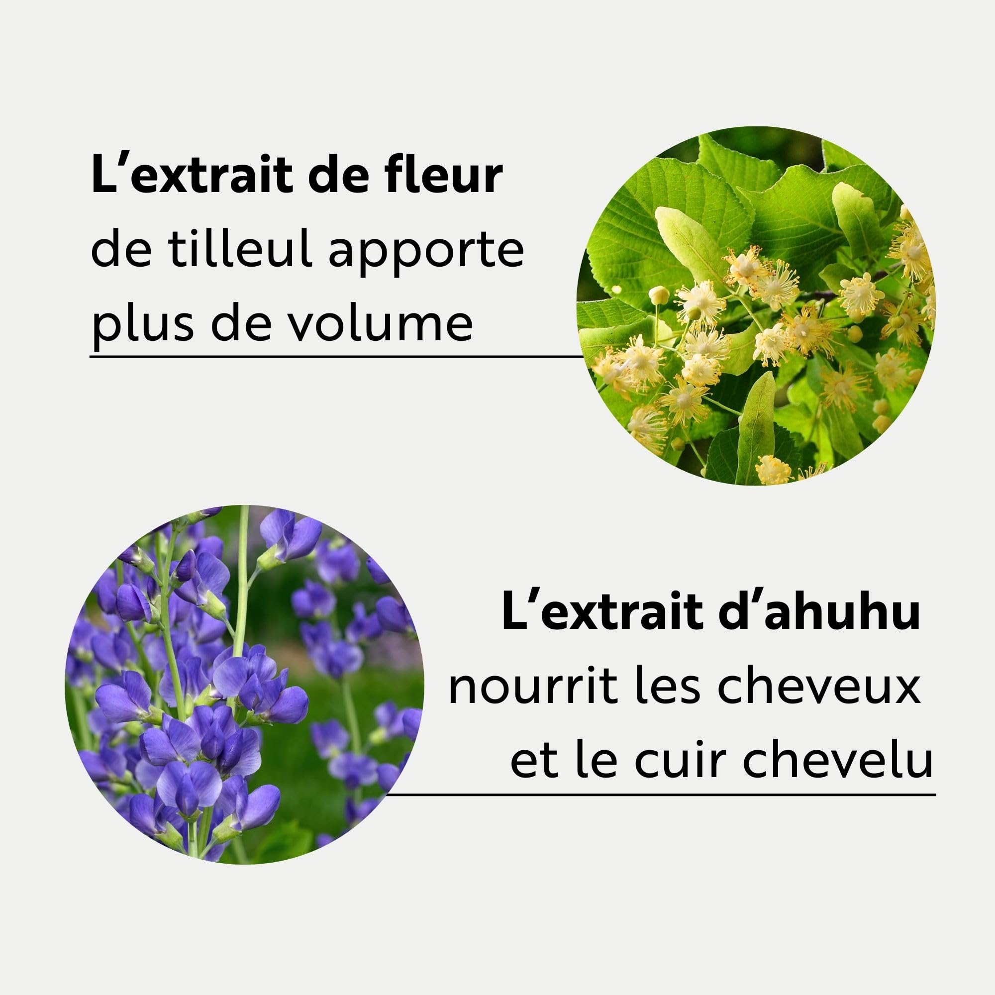 ahuhu Thickening Après-Shampoing Caféine Bio Format XXL (500 ml) | Shampoing à la caféine bio pour des cheveux épais et revitalisés, décolle les racines et apporte un volume instantané