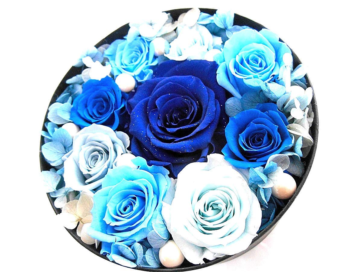 オルゴール　プリザーブドフラワー青いバラ　ブルーローズ　未来予想図2　ドリカム オルゴール プリザーブドフラワー青いバラ ブルーローズ 未来予想図2