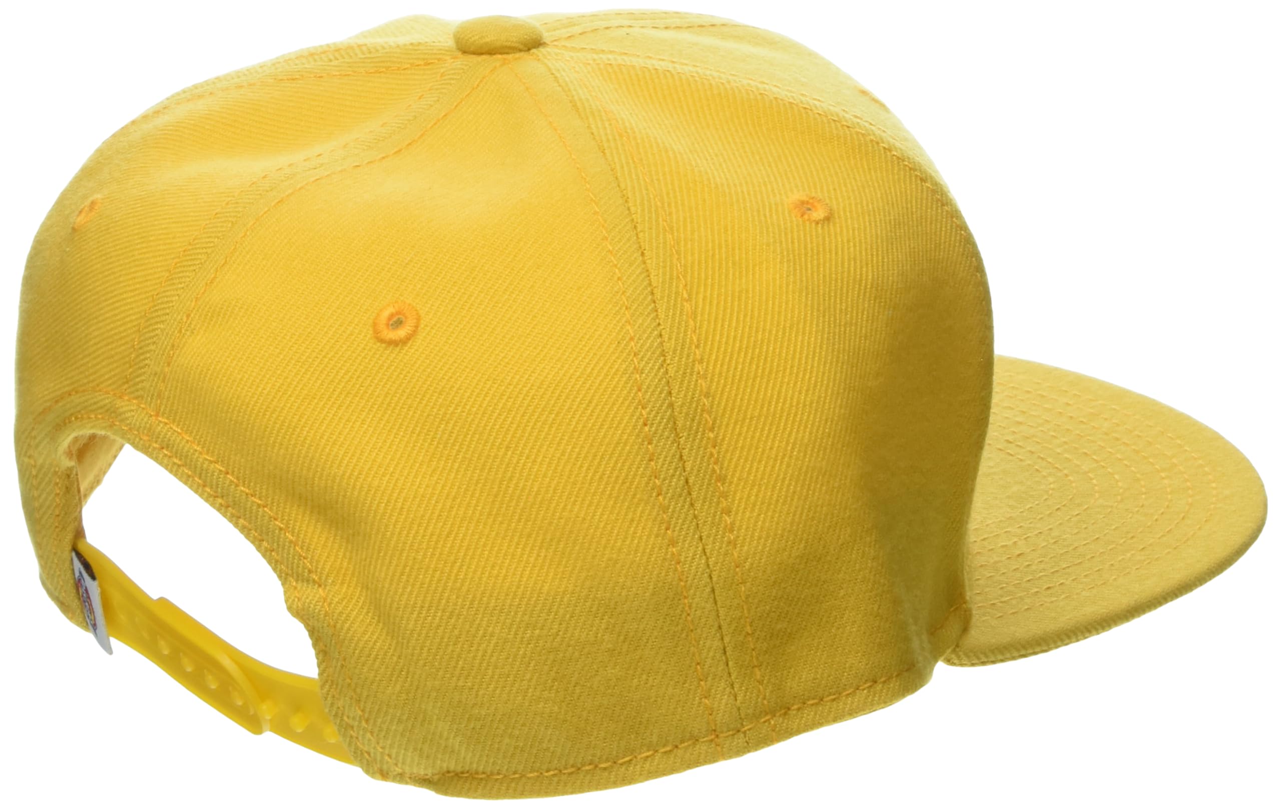 Dickies Męska czapka Mid Pro z płaskim rondem, Biały/bogaty ogród, jeden rozmiar