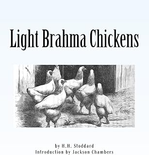 Light Brahma Chickens: Chicken Breeds Book 25