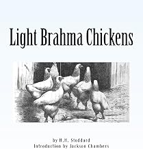 Light Brahma Chickens: Chicken Breeds Book 25