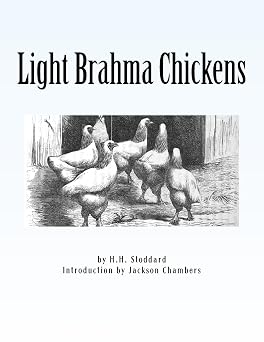 Light Brahma Chickens Chicken Breeds Book 25