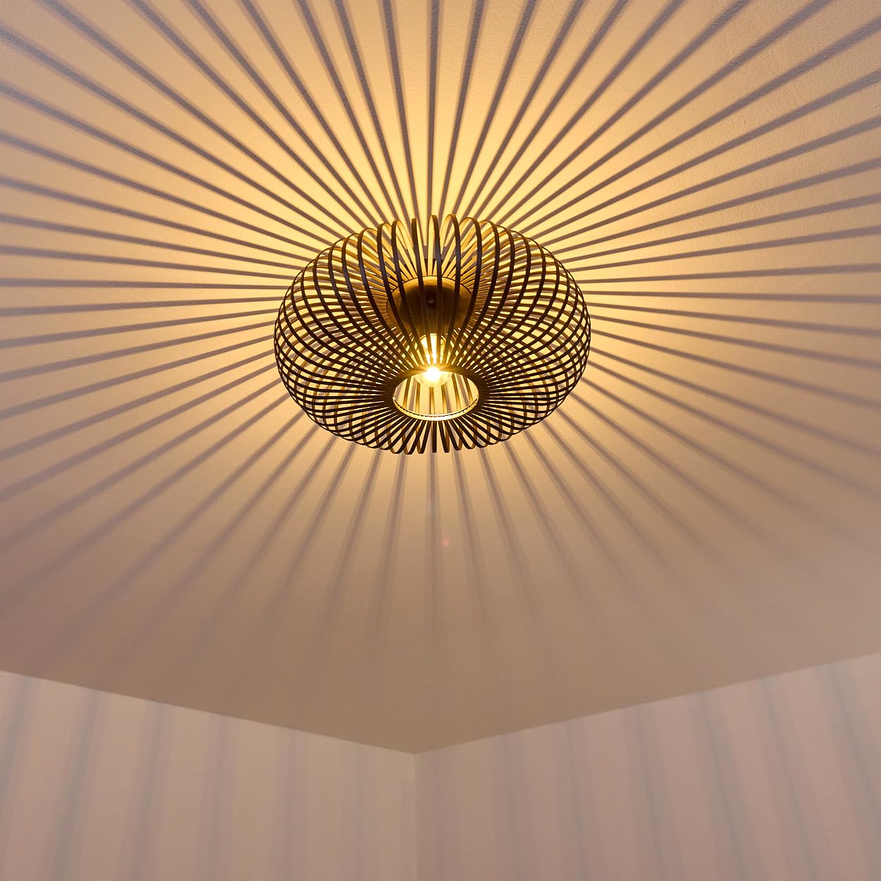 Hofstein Black Oravi Ceiling Light, Round Ceiling Lamp Made Of Metal In 1-Flame, E27 Socket, Light With Great Lighting Effects On The Ceiling, Without Light Bulbs