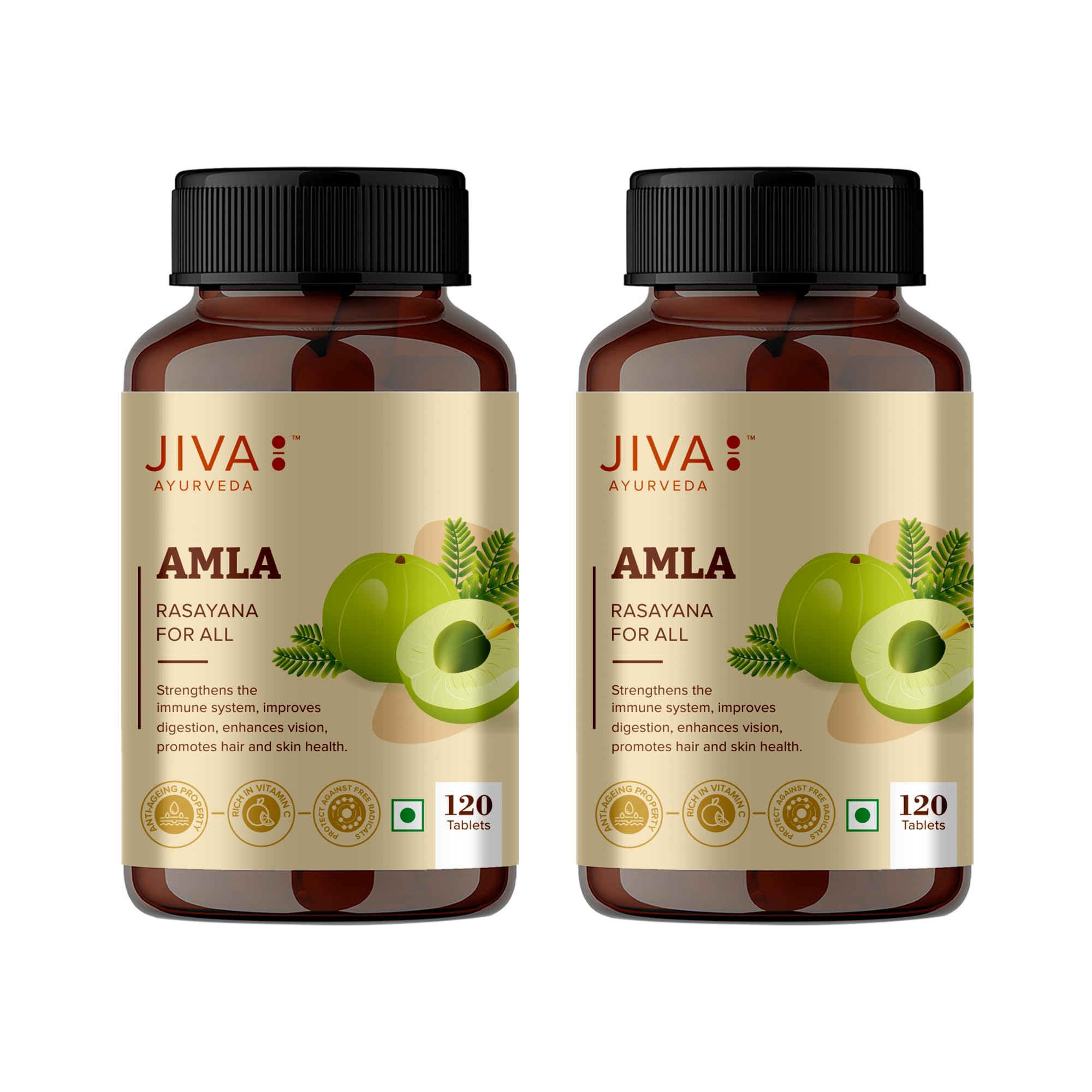 Amla Tablets 500mg 240 Tablets | 100% Herbs Used, Rich In Vitamin C | Rich In Antioxidants | Improves Digestion | Enhances Vision - 120 Tablet (Pack of 2)