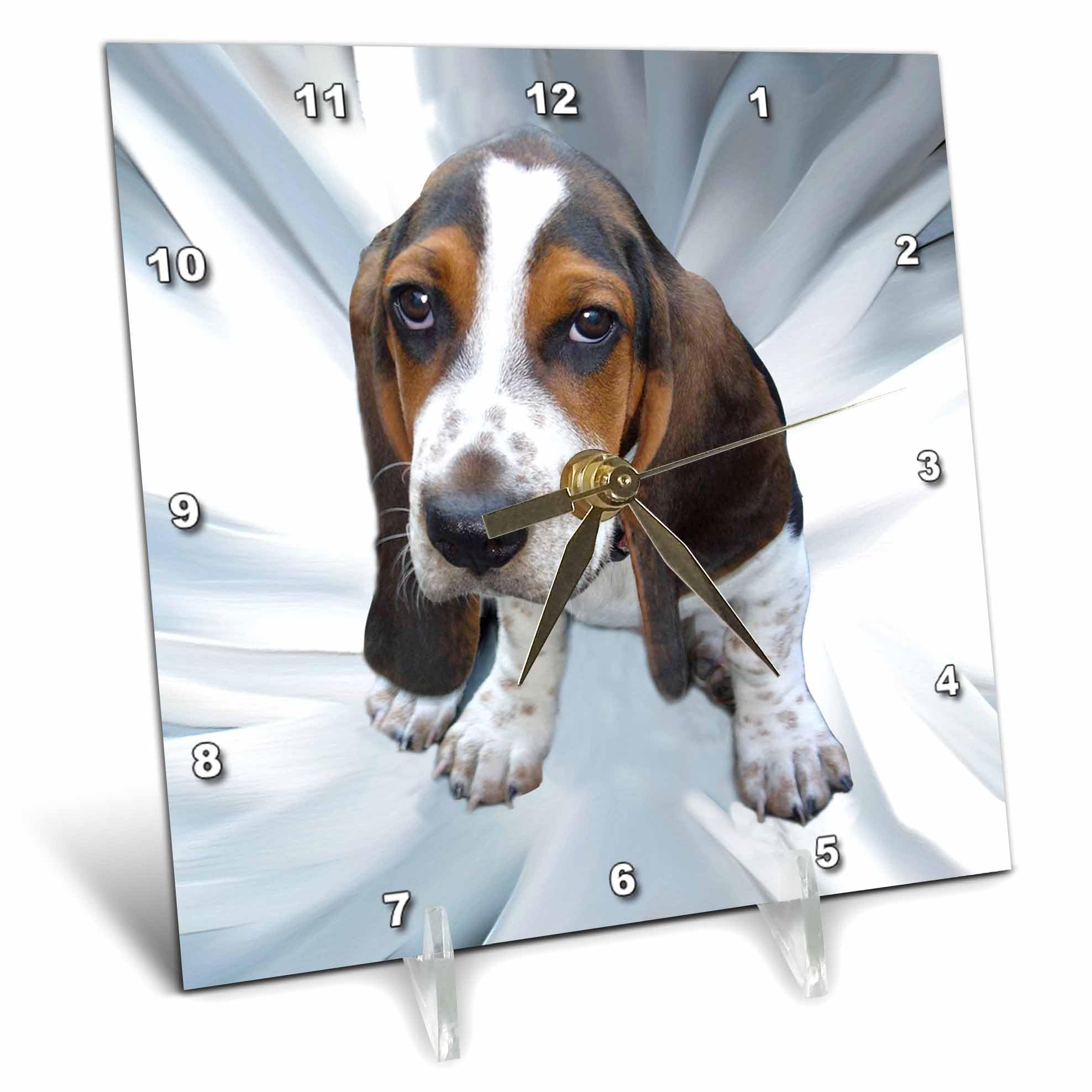 3dRose LLC Basset Hound Desk Clock, 6 by 6-Inch