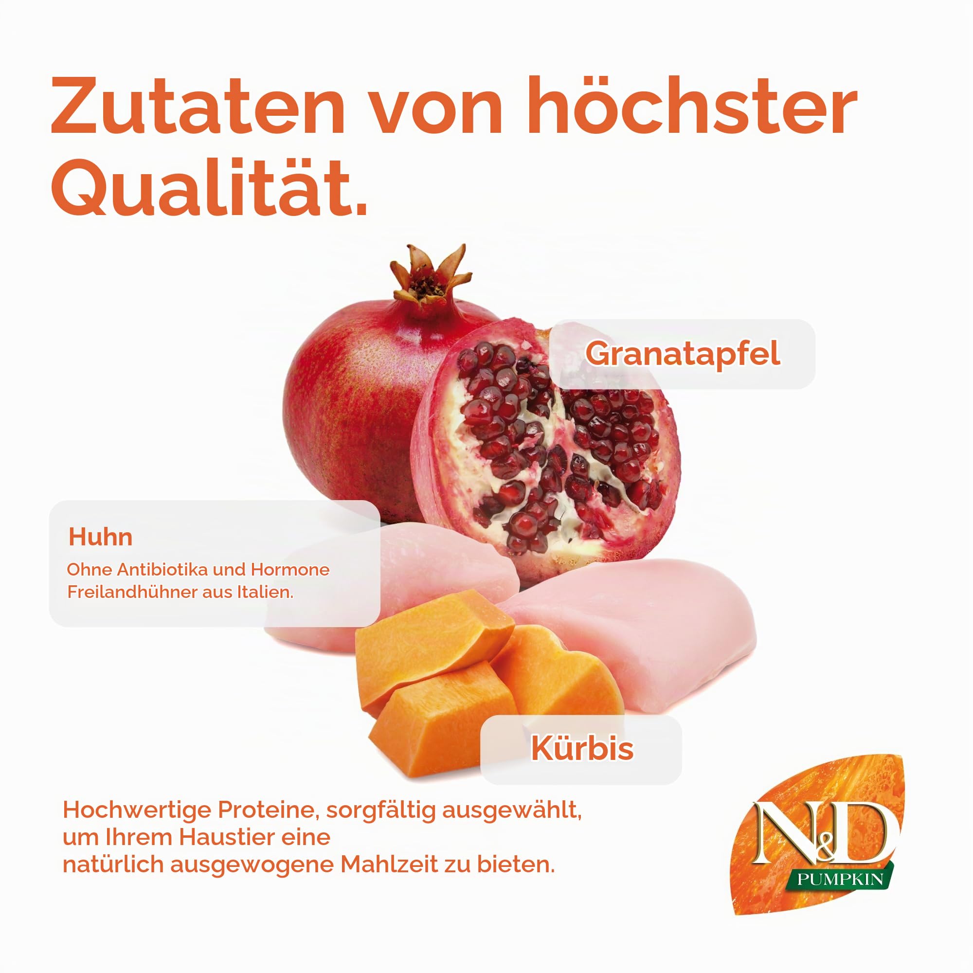 Farmina - NdGr.ainfree Kürbis - Huhn - MeloGr.ano kg 12 - M/M