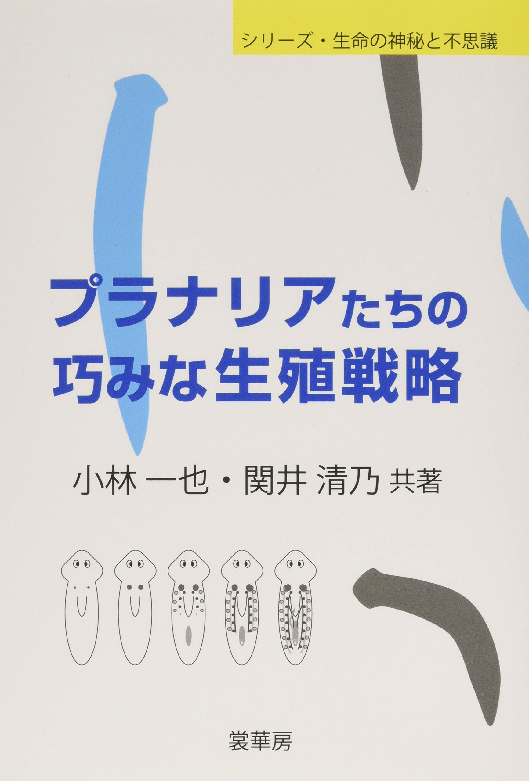 プラナリアたちの巧みな生殖戦略 (シリーズ・生命の神秘と不思議