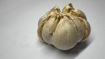 Organic Fresh Elephant Garlic by RawJoy Farms