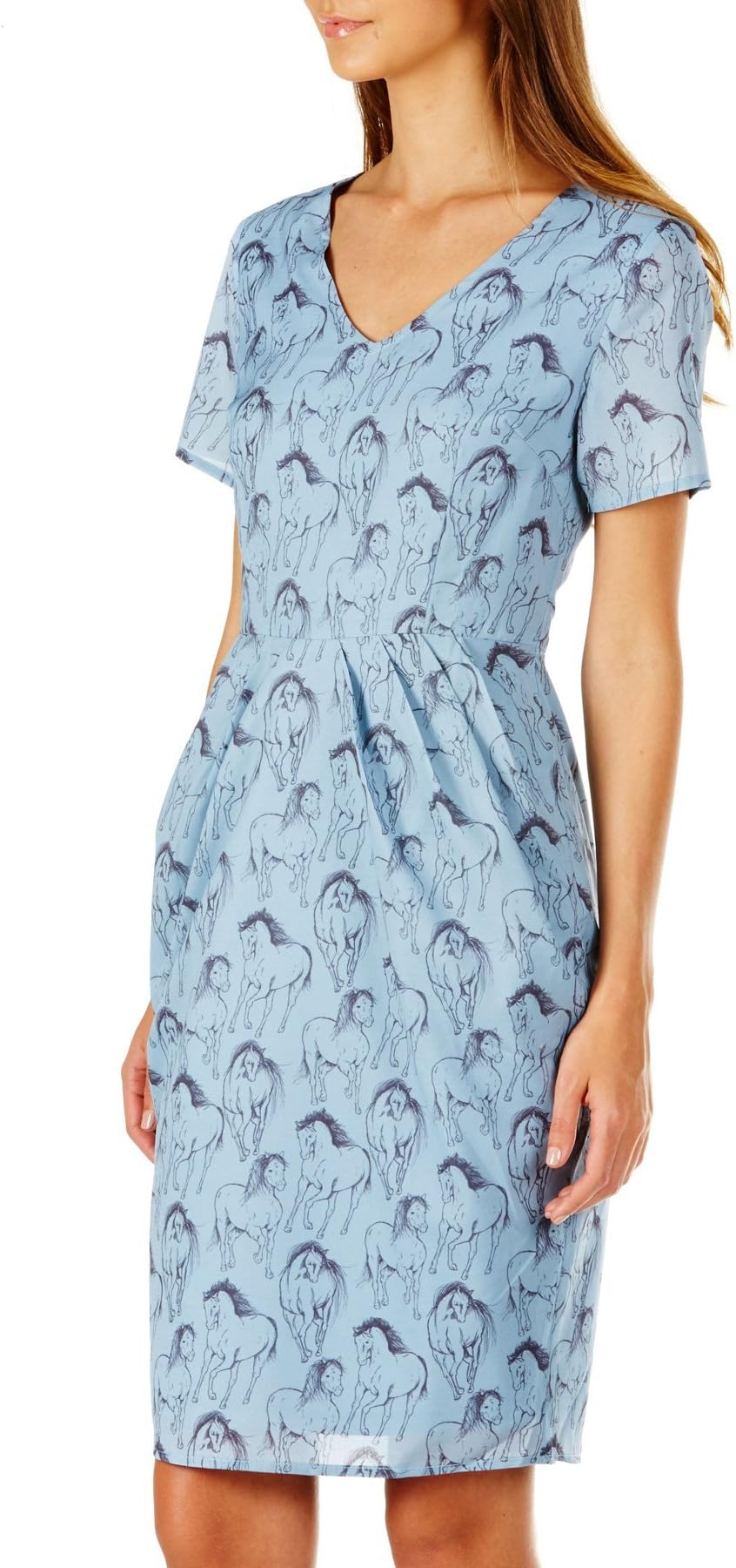 Sugarhill Boutique Women's Blue Gayna Running Swans Dress