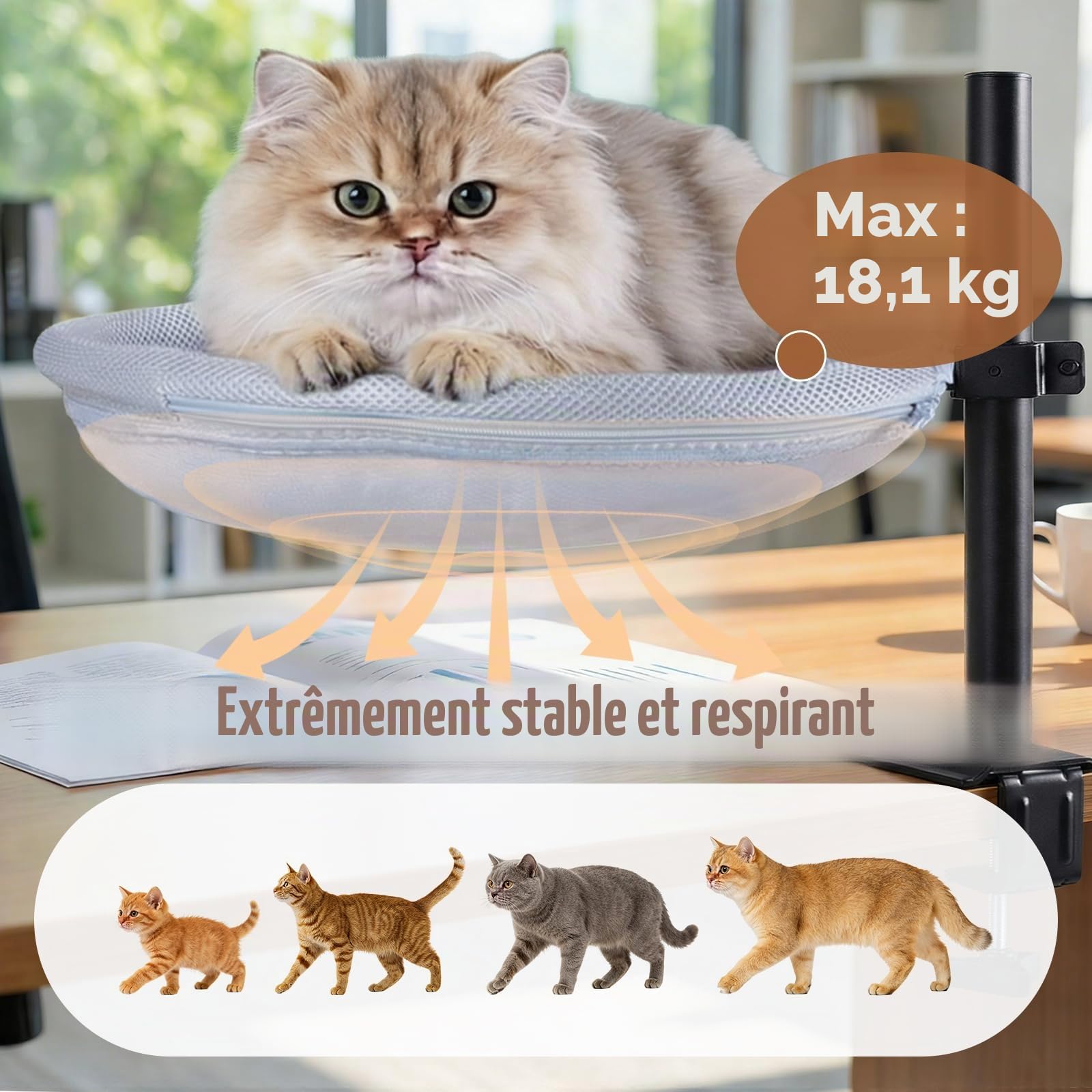 Lit de Bureau pour Chat, nid de Bureau pivotant à 360° et réglable en Hauteur avec Balle Suspendue Interactive, hamac pour Chat avec Housse Lavable pour Bureau à Domicile, supporte jusqu'à 40 lbs