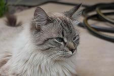 Review Image by Darker Romance Please Darker Romance Please