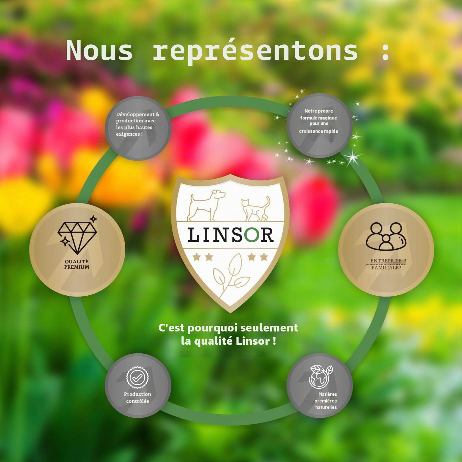Mélange de graines de prairie sauvage pour gazon naturel parfumé, 1 kg pour 100 m²