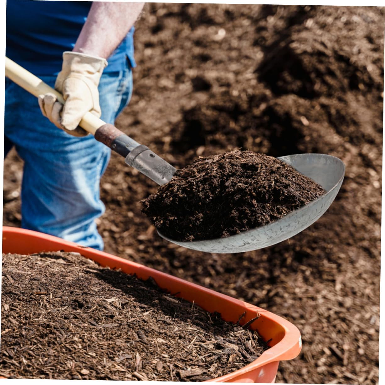 Heavy Duty Dung Scoop Shovel Utility Bucket for Cleaning Metal Shovel for Dung Removal