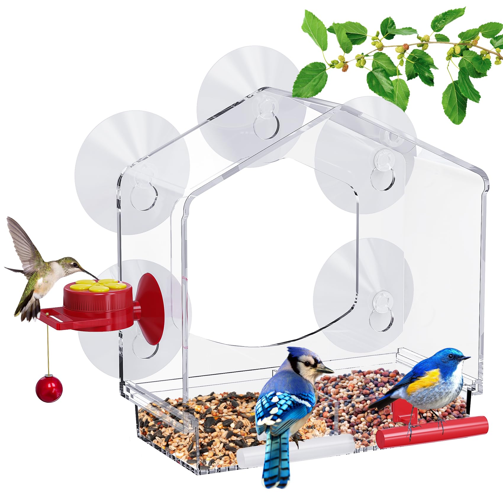 Comedero Pajaros Exterior, con 5 Ventosas Potentes, Alimentador de Aves de Ventana Transparente Acrílica, Bandeja Extraíble para Uso Al Aire Libre Y Bebedero Pajaros