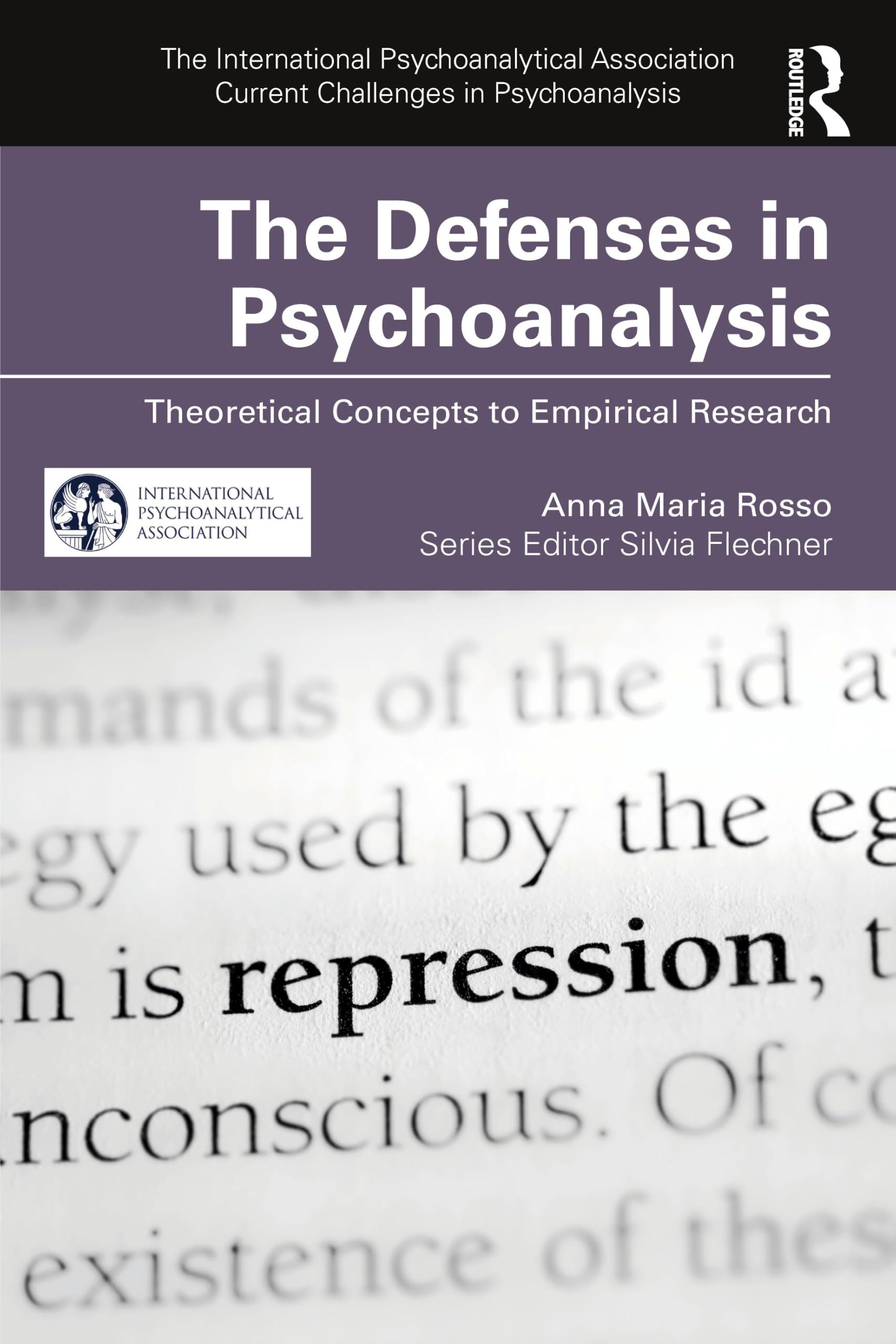 The Defenses in Psychoanalysis by Anna Maria Rosso (Paperback Book)