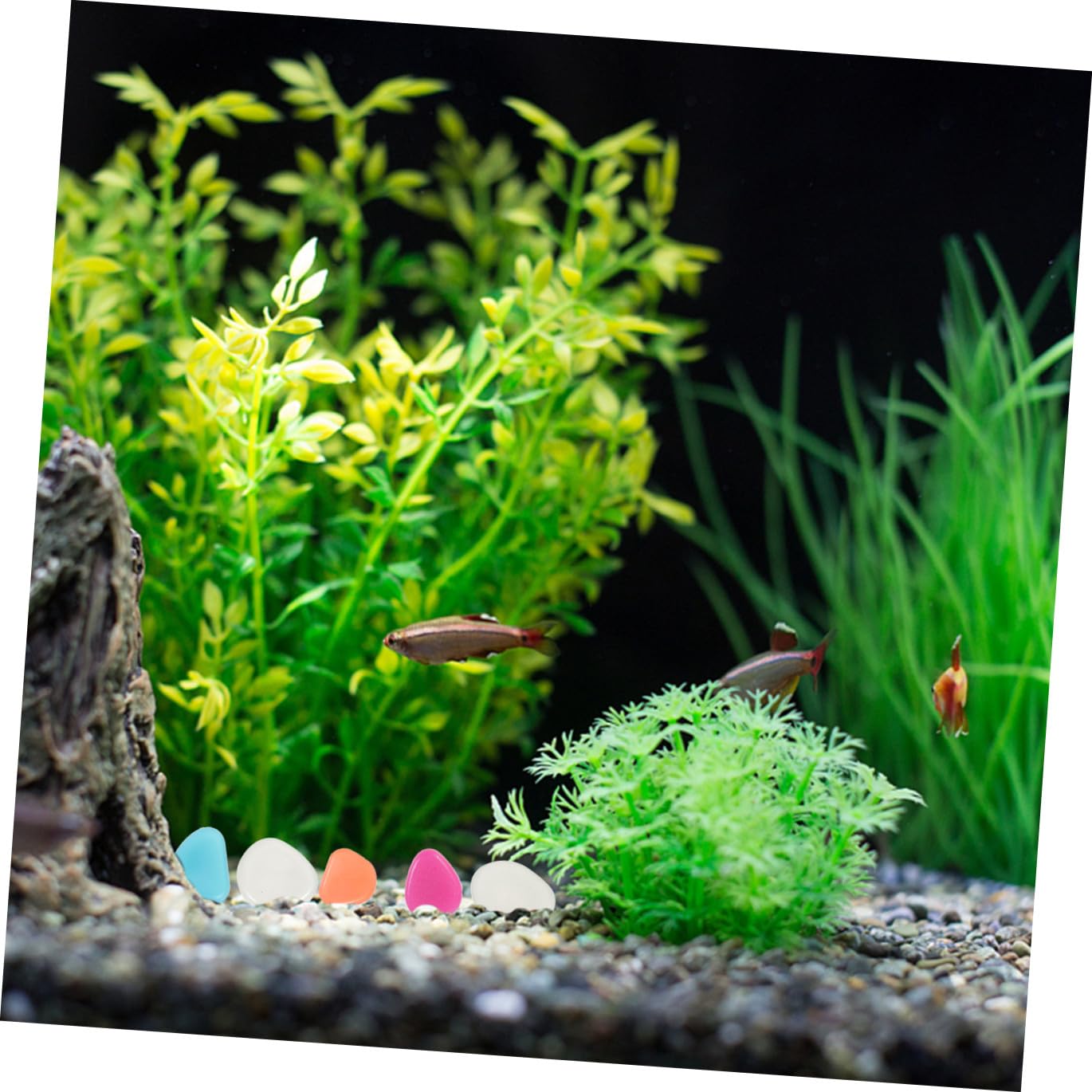 YARNOW 3 Ensembles Cailloux Lumineux Decoration Jardin Décoration Jardin Décoration De Jardin Décorations D'aquarium Qui Brillent Dans Roches D'aquarium Résine 200 Pièces * 3