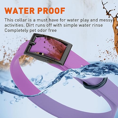 Miniatura 4 de Dogline Biothane - Collar impermeable para perro, resistente cincha de nailon recubierto con herrajes negros, a prueba de olores para un fácil