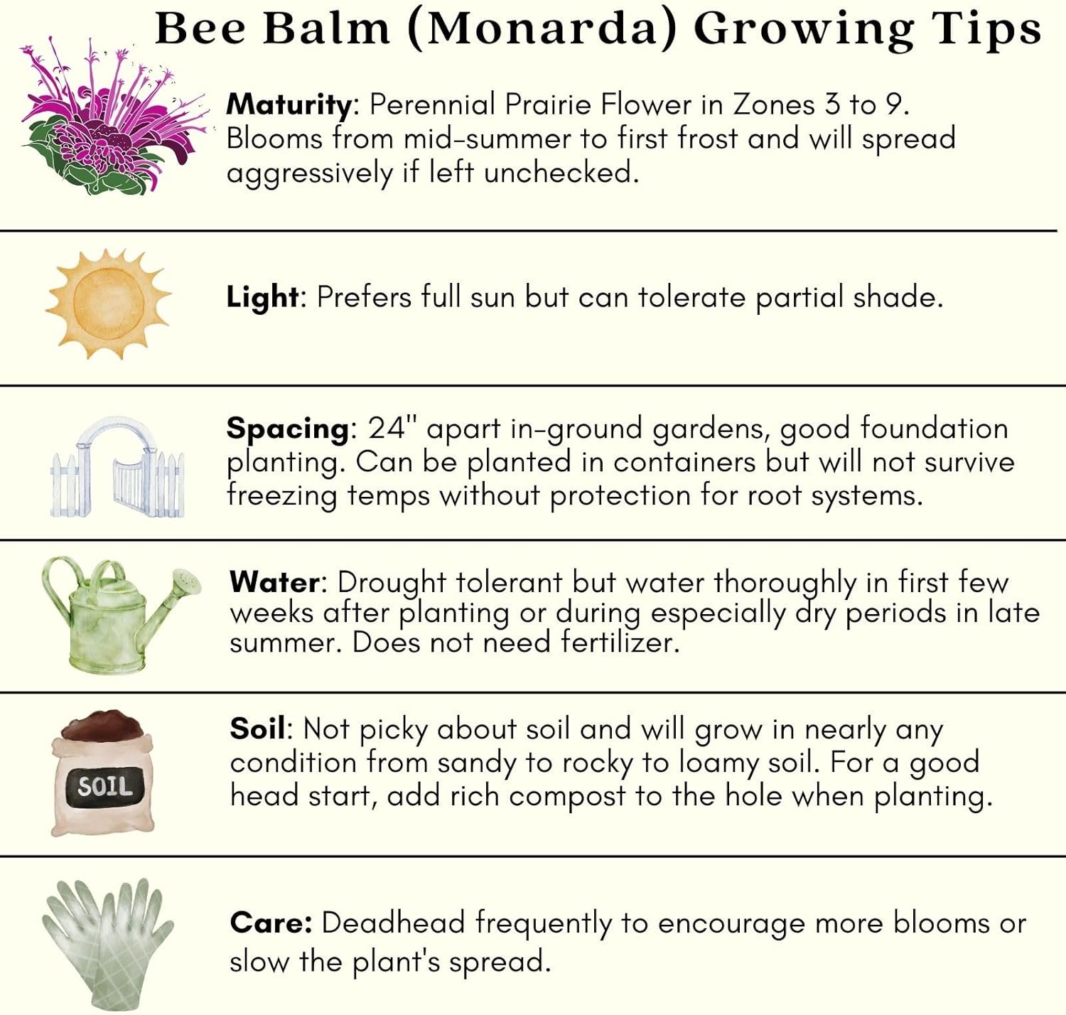 Clovers Garden Bee Balm Balmy Pink (Monarda) Plants – Two (2) Live Plants – Non-GMO - Not Seeds - Each 4" to 8" Tall – in 4" Inch Pots – Hardy Flowering Perennial, Pollinator Favorite
