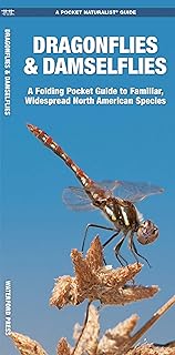 Dragonflies & Damselflies (Nature Observation North America)