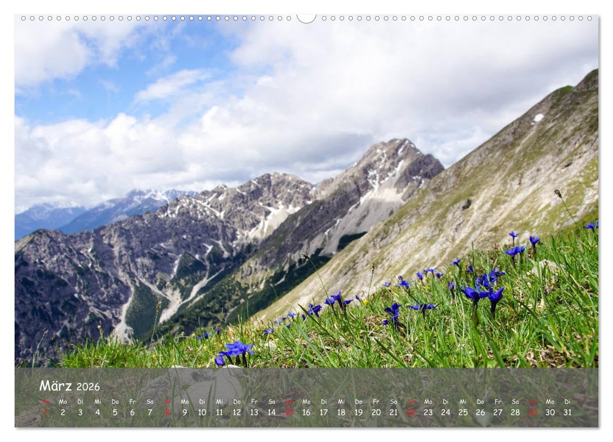 Ammergauer Alpen (hochwertiger Premium Wandkalender 2026 DIN A2 quer), Kunstdruck in Hochglanz: Einblick in den Naturpark Ammergauer Alpen Wandkalender (CALVENDO Orte)