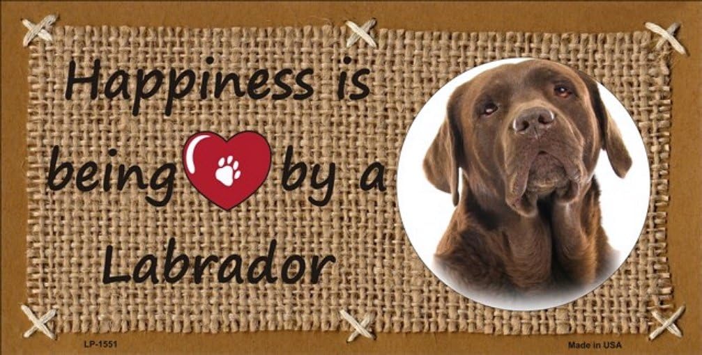 Labrador Dog License Plates Plate Plates Tag Tags auto