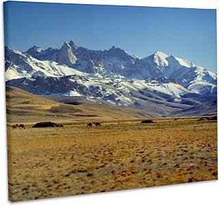 3dRose, Afghanistan, Bamian Valley, Mountains, Kuchi camp-AS01 RER0003 - Ric Ergenbright, Museum Grade Canvas Wrap 20x16